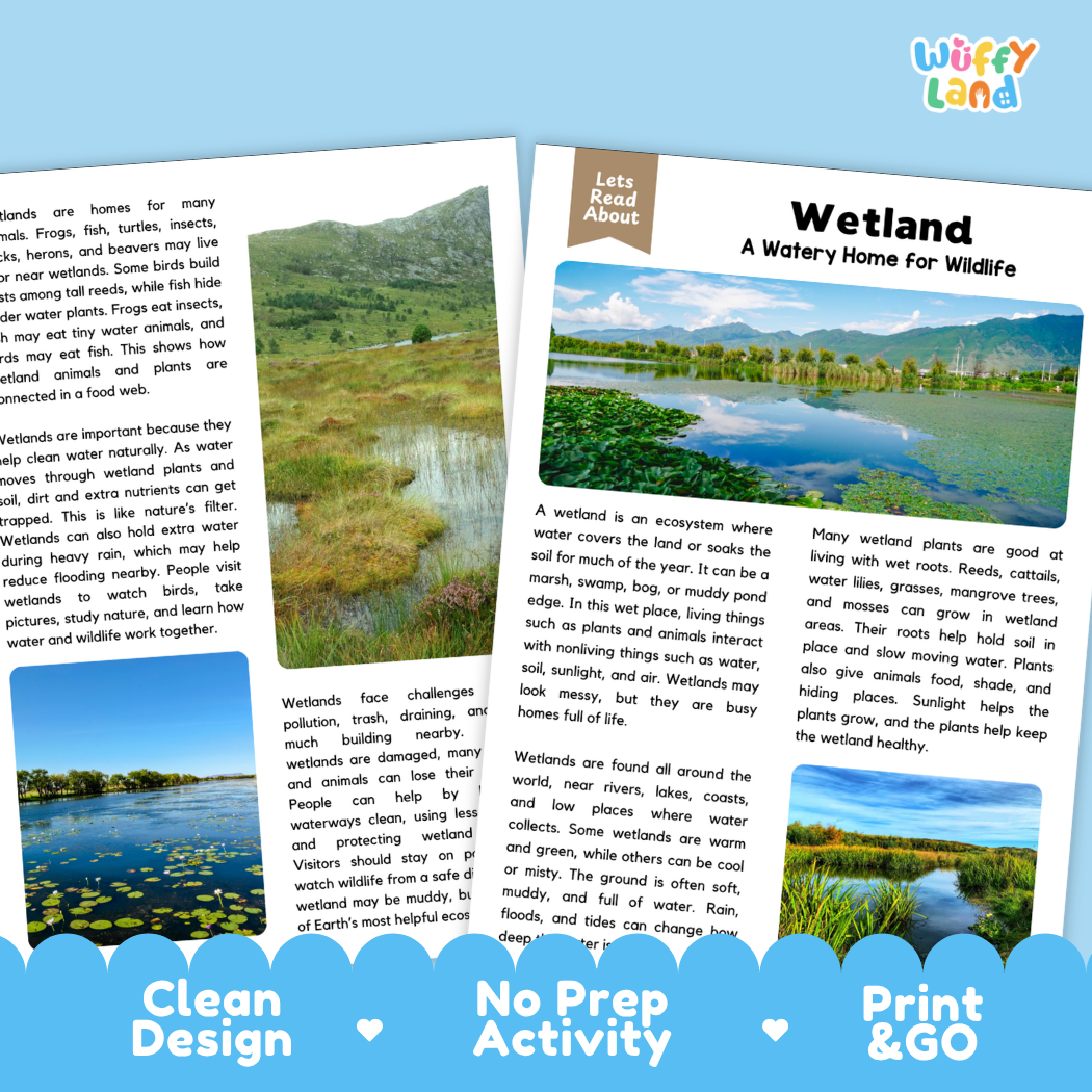 Teacher answer key page showing complete question solutions for wetland reading comprehension practice