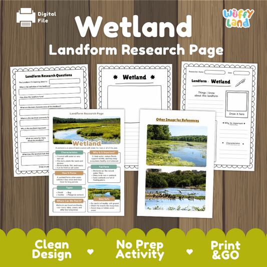 Wetland Landform Research Page Worksheets and Reading Activity