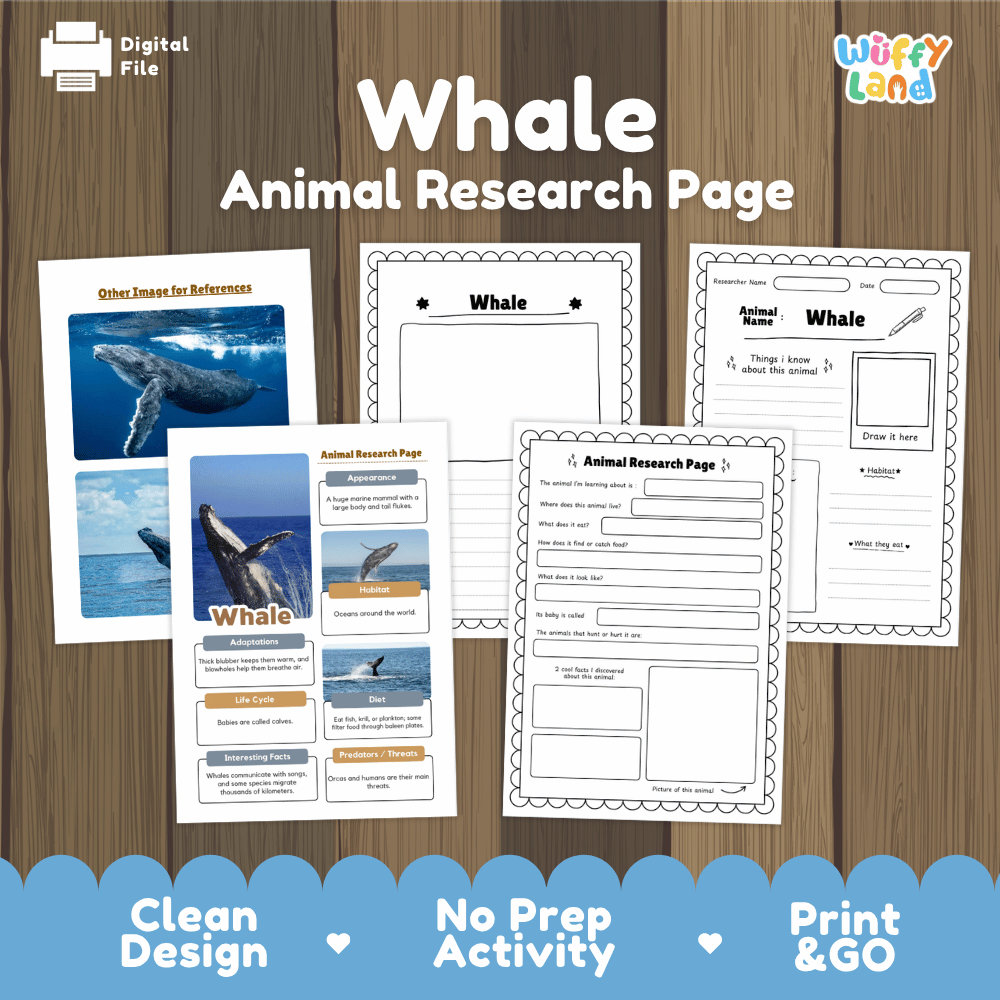 Whale Animal Research Page Worksheets and Fact Sheet Activity