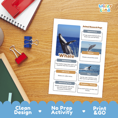 Whale Animal Research Page Worksheets and Fact Sheet Activity