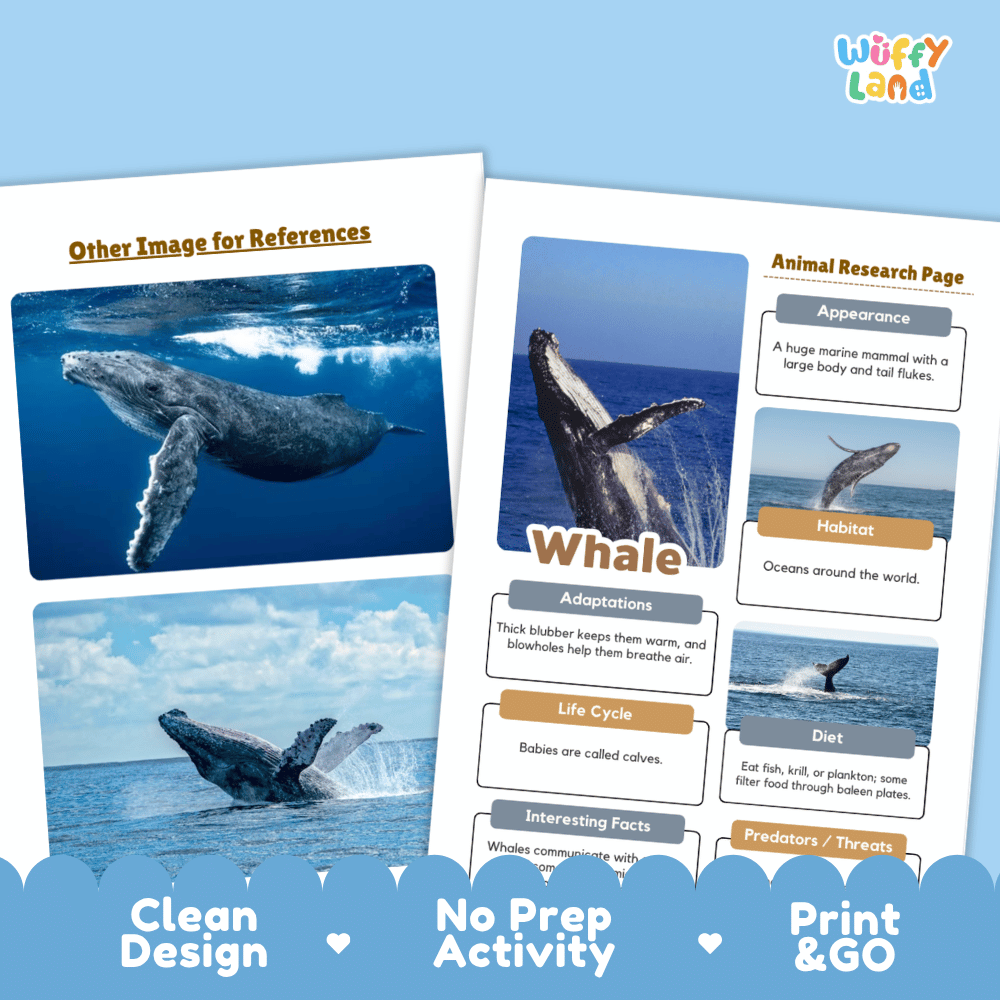 Whale Animal Research Page Worksheets and Fact Sheet Activity