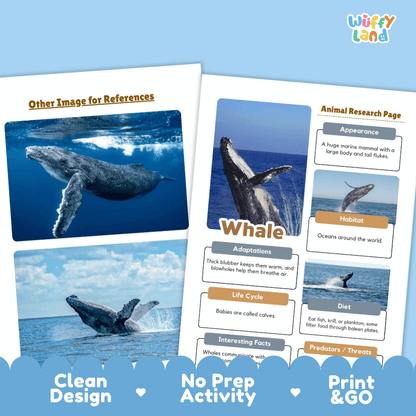 Whale Animal Research Page Worksheets and Fact Sheet Activity