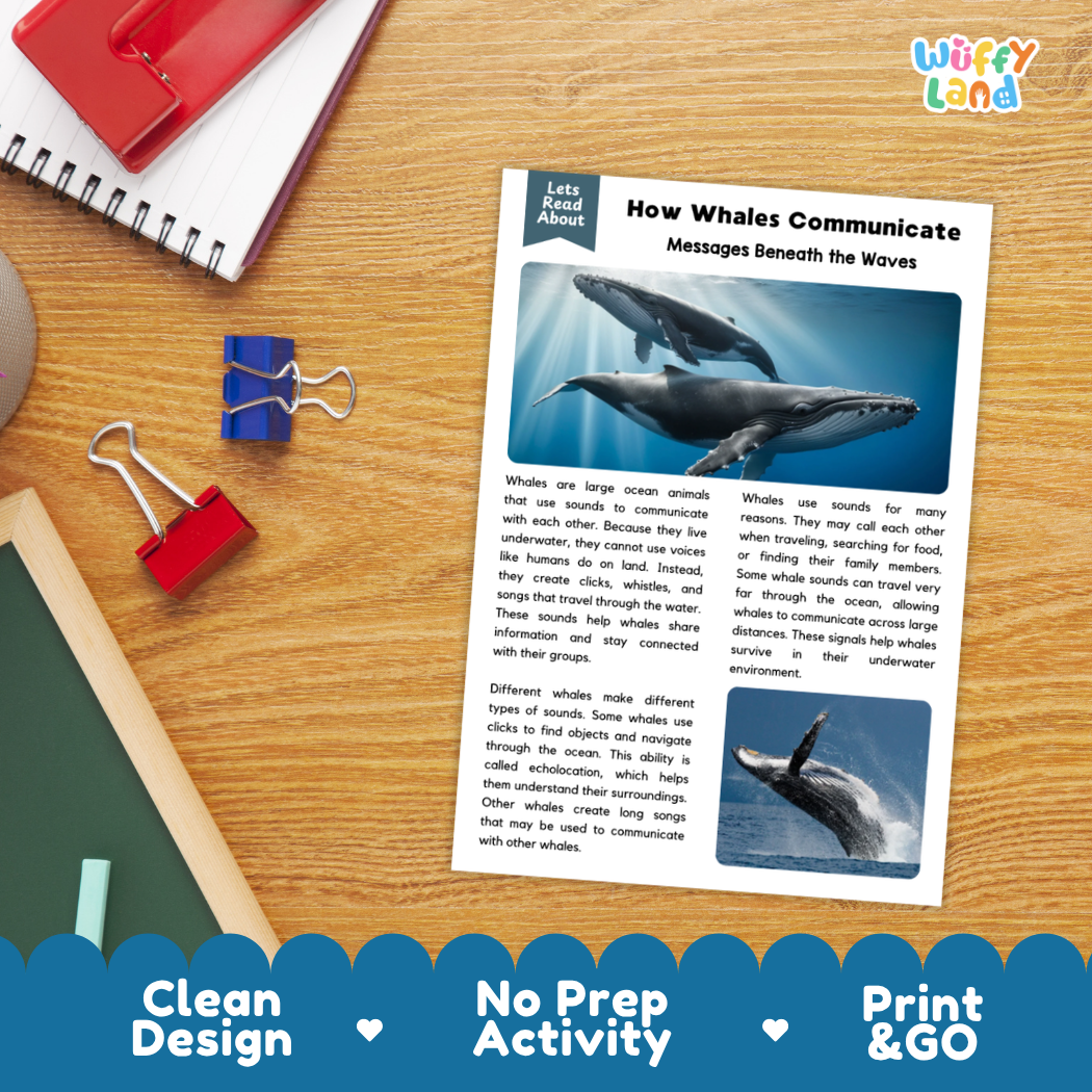 Printable student worksheet with short-answer reading comprehension questions covering whales and marine biology
