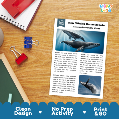 Printable student worksheet with short-answer reading comprehension questions covering whales and marine biology