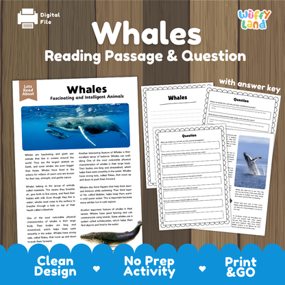Whales Reading Passage and Comprehension Questions Worksheets with Answer Key