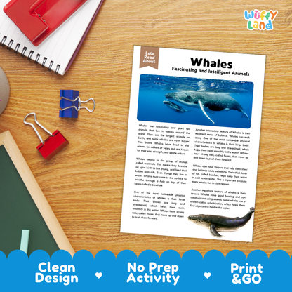 Whales Reading Passage and Comprehension Questions Worksheets with Answer Key