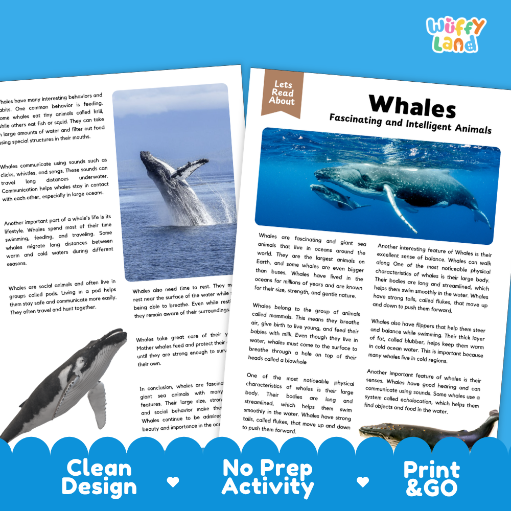 Whales Reading Passage and Comprehension Questions Worksheets with Answer Key