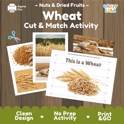 Wheat Cut and Match Activity Worksheets | Nuts and Dried Fruits Puzzle Printables