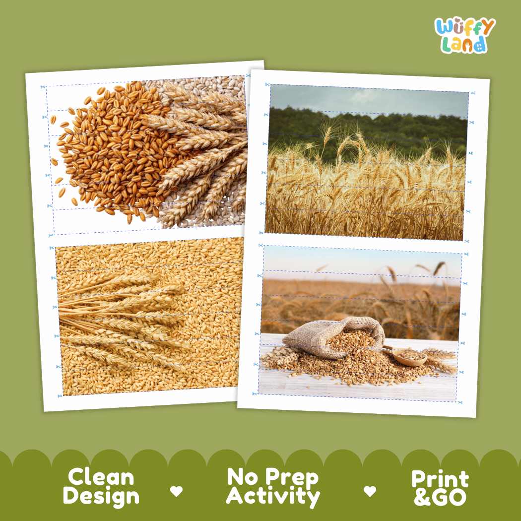 Wheat Cut and Match Activity Worksheets | Nuts and Dried Fruits Puzzle Printables