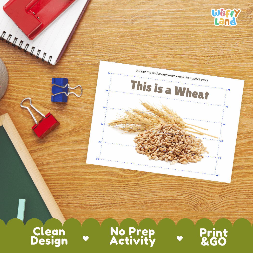 Wheat Cut and Match Activity Worksheets | Nuts and Dried Fruits Puzzle Printables