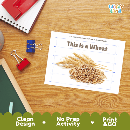 Wheat Cut and Match Activity Worksheets | Nuts and Dried Fruits Puzzle Printables