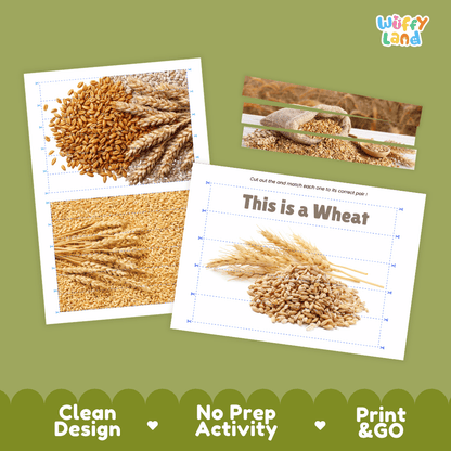 Wheat Cut and Match Activity Worksheets | Nuts and Dried Fruits Puzzle Printables