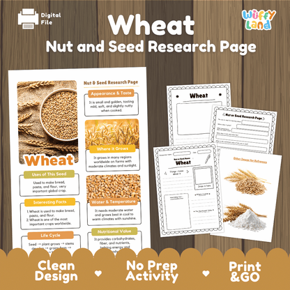 Wheat Nut and Seed Research Page Worksheets and Fact Sheet