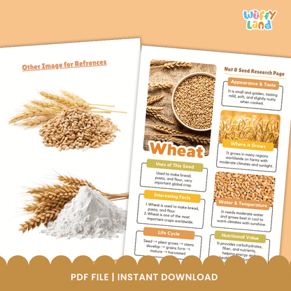 Wheat Nut and Seed Research Page Worksheets and Fact Sheet