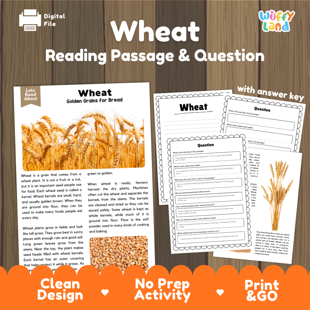 Wheat Reading Passage and Comprehension Questions Worksheets with Answer Key