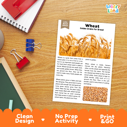 Wheat Reading Passage and Comprehension Questions Worksheets with Answer Key