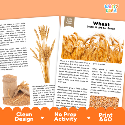 Wheat Reading Passage and Comprehension Questions Worksheets with Answer Key