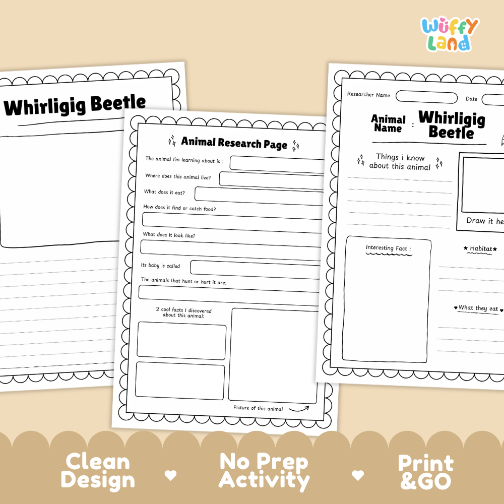 Three printable educational worksheets about the whirligig beetle arranged on a beige background with promotional text at the bottom. The sheets are black-and-white activity pages with writing areas, labeled 'Whirligig Beetle' and 'Animal Research Page,' and the brand logo 'Wiffly Land' appears in the top right.