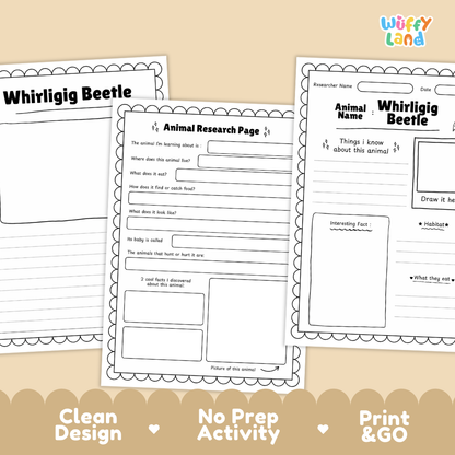 Three printable educational worksheets about the whirligig beetle arranged on a beige background with promotional text at the bottom. The sheets are black-and-white activity pages with writing areas, labeled 'Whirligig Beetle' and 'Animal Research Page,' and the brand logo 'Wiffly Land' appears in the top right.
