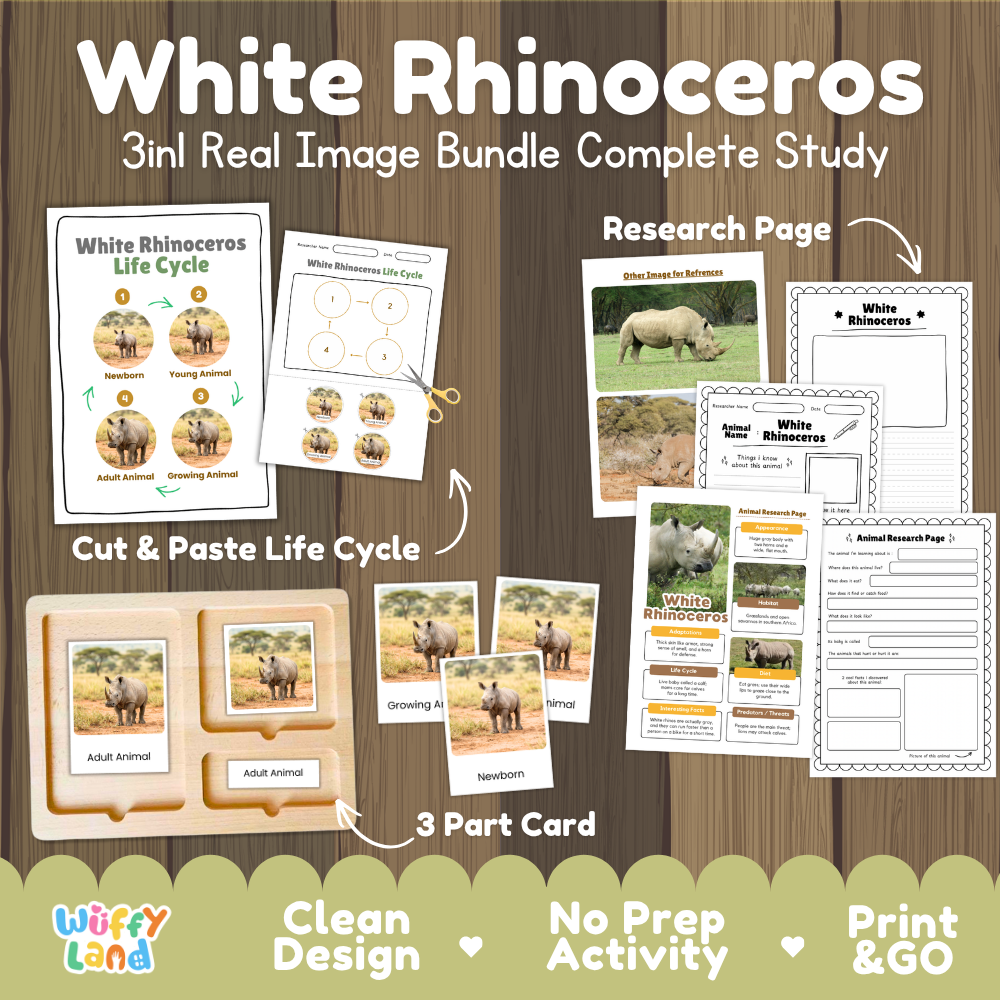 White rhinoceros 3-in-1 real image bundle complete study cover showing cut and paste life cycle, 3 part cards, and research pages   
