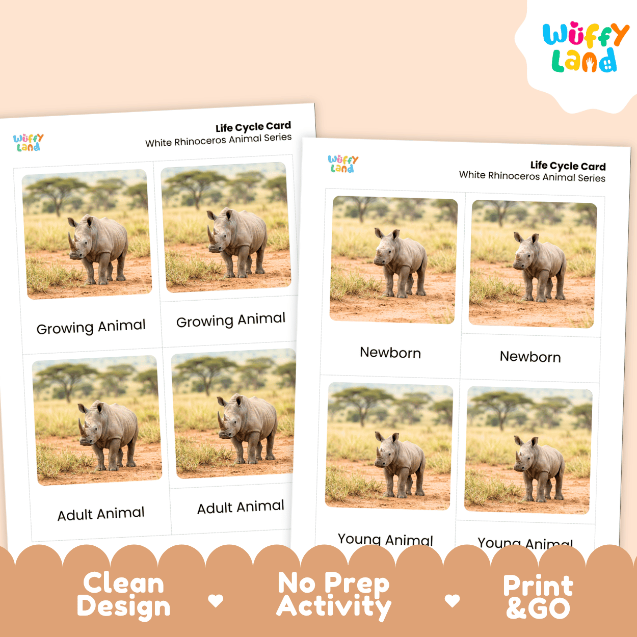Two printable white rhinoceros animal series life cycle cards shown on a peach background, with the Wiffy Land logo and marketing text 'Clean Design', 'No Prep Activity', and 'Print & GO' at the bottom.