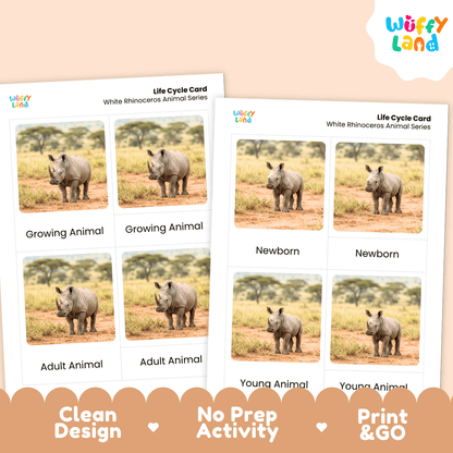 Two printable white rhinoceros animal series life cycle cards shown on a peach background, with the Wiffy Land logo and marketing text 'Clean Design', 'No Prep Activity', and 'Print & GO' at the bottom.