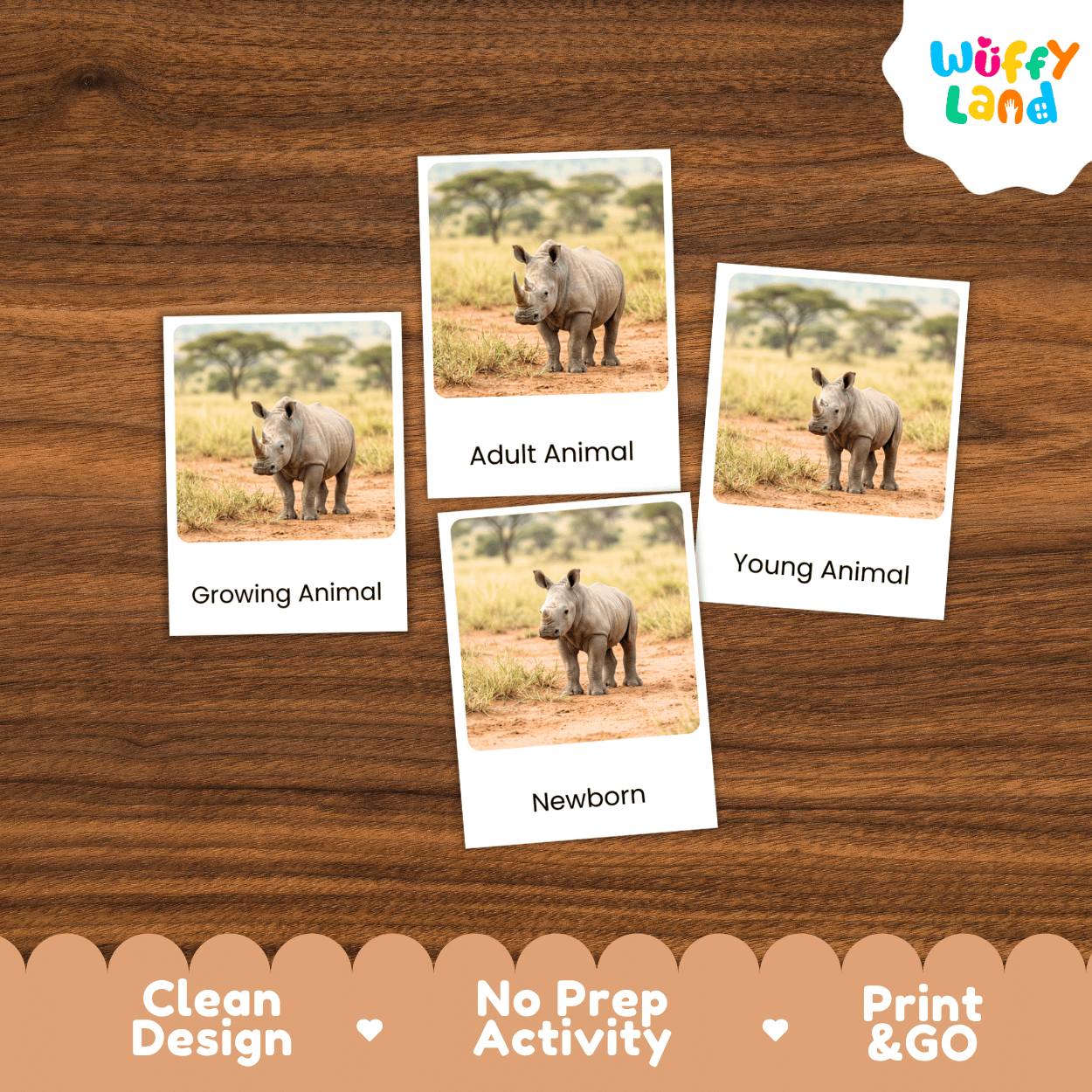 Four printed animal comparison cards showing rhinos labeled Growing Animal, Adult Animal, Young Animal, and Newborn, arranged on a brown wood background. The Wuffi Land logo appears in the top right, and a banner at the bottom reads Clean Design, No Prep Activity, and Print & GO.