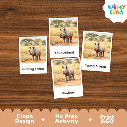 Four printed animal comparison cards showing rhinos labeled Growing Animal, Adult Animal, Young Animal, and Newborn, arranged on a brown wood background. The Wuffi Land logo appears in the top right, and a banner at the bottom reads Clean Design, No Prep Activity, and Print & GO.