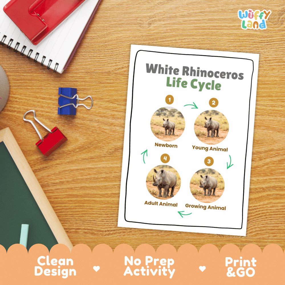 White Rhinoceros Life Cycle Poster and Cut and Paste Worksheet Activity