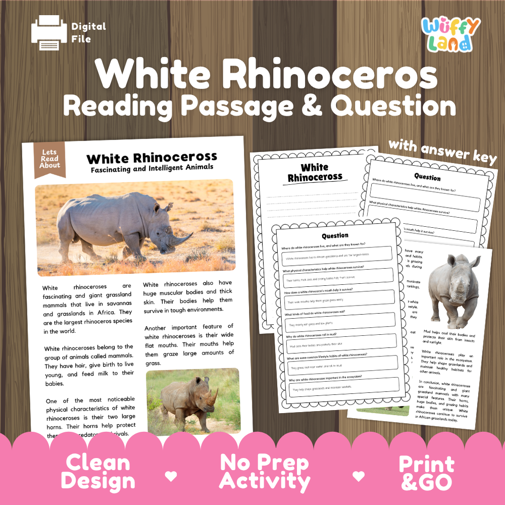 White Rhinoceros Reading Passage and Comprehension Questions Worksheets