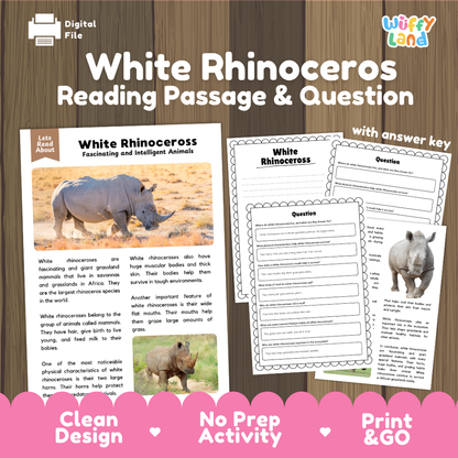White Rhinoceros Reading Passage and Comprehension Questions Worksheets