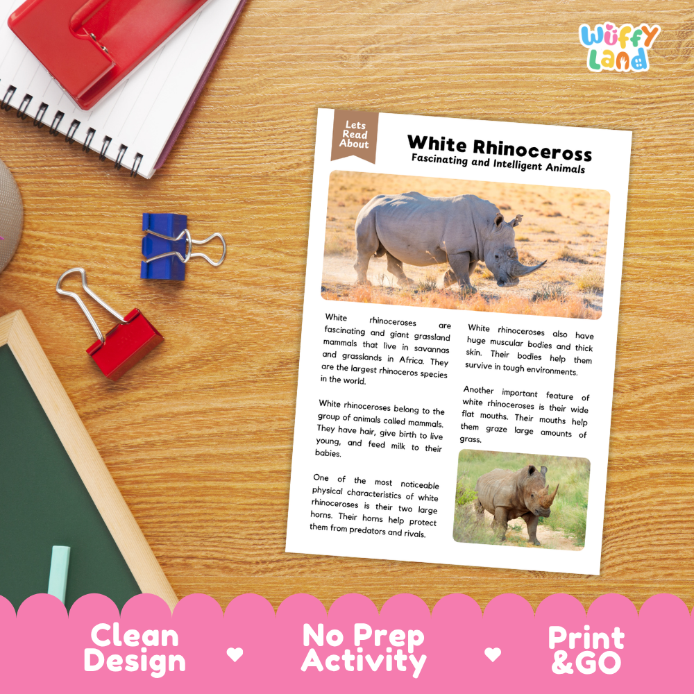 White Rhinoceros Reading Passage and Comprehension Questions Worksheets