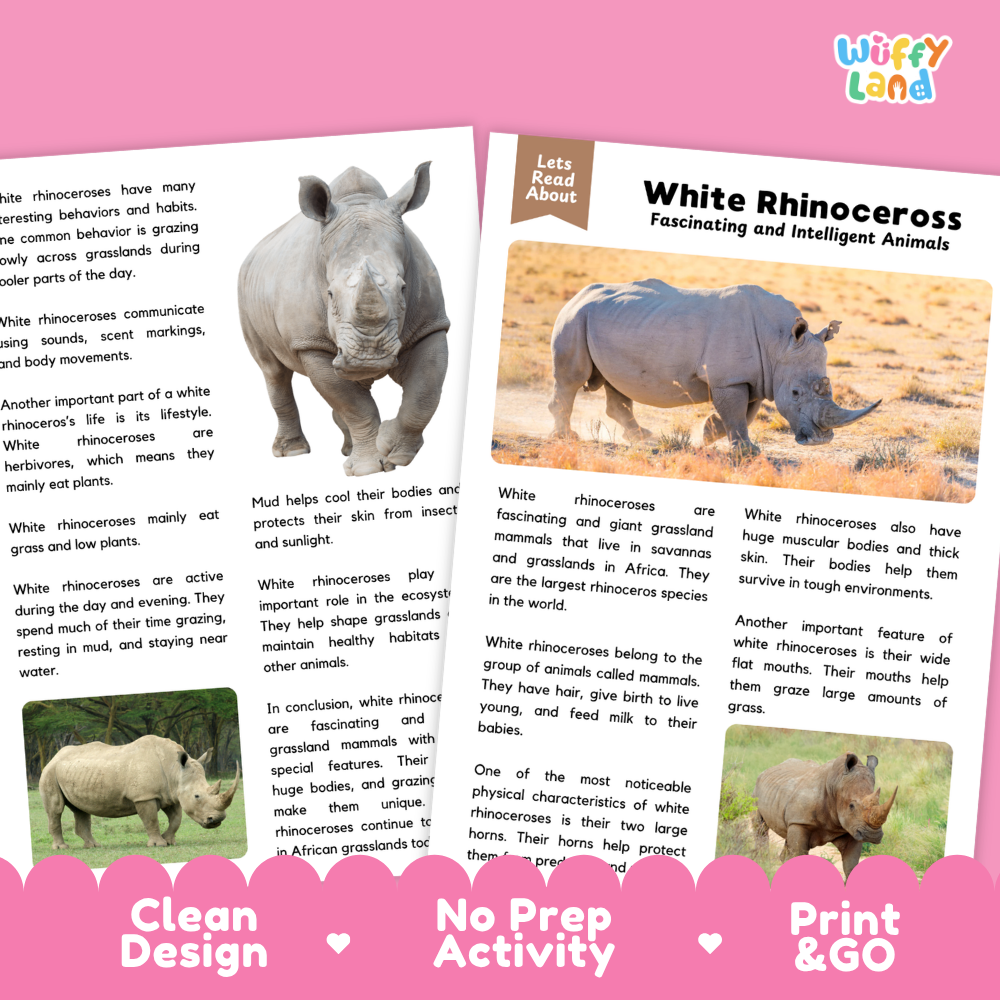 White Rhinoceros Reading Passage and Comprehension Questions Worksheets