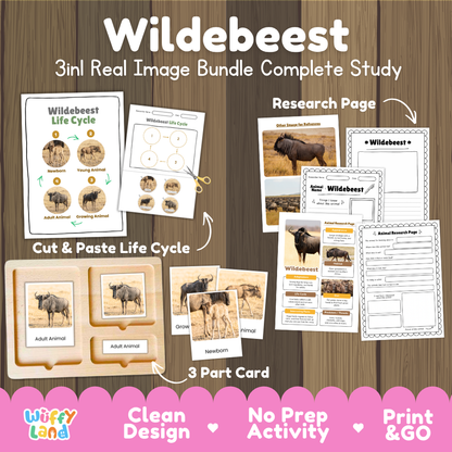 Wildebeest 3-in-1 real image bundle complete study cover showing cut and paste life cycle, 3 part cards, and research pages
