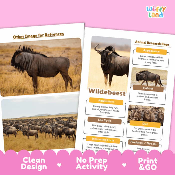 Two printed educational activity sheets about wildebeest displayed on a pink background. The sheets include animal photos, labeled information boxes, and decorative text such as 'Other Image for References,' 'Animal Research Page,' 'Wildebeest,' and 'Clean Design No Prep Activity Print & GO.