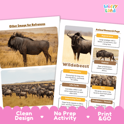 Two printed educational activity sheets about wildebeest displayed on a pink background. The sheets include animal photos, labeled information boxes, and decorative text such as 'Other Image for References,' 'Animal Research Page,' 'Wildebeest,' and 'Clean Design No Prep Activity Print & GO.