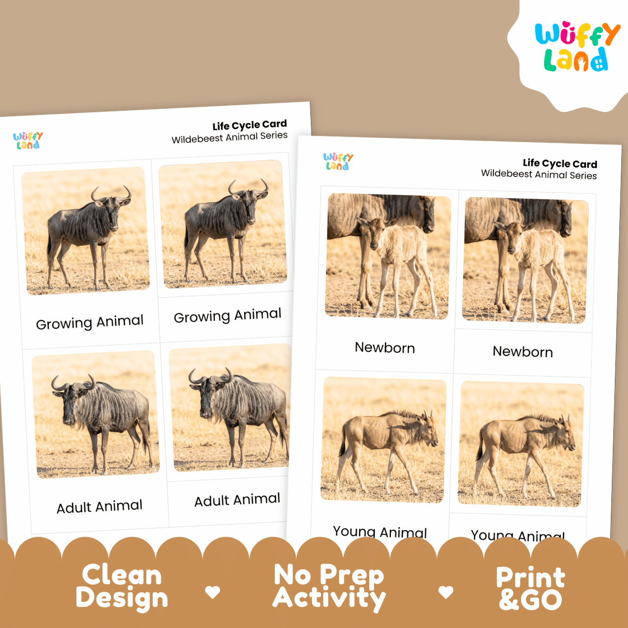 Wildebeest Life Cycle Flashcards | Montessori 3 Part Cards Mammal Activity