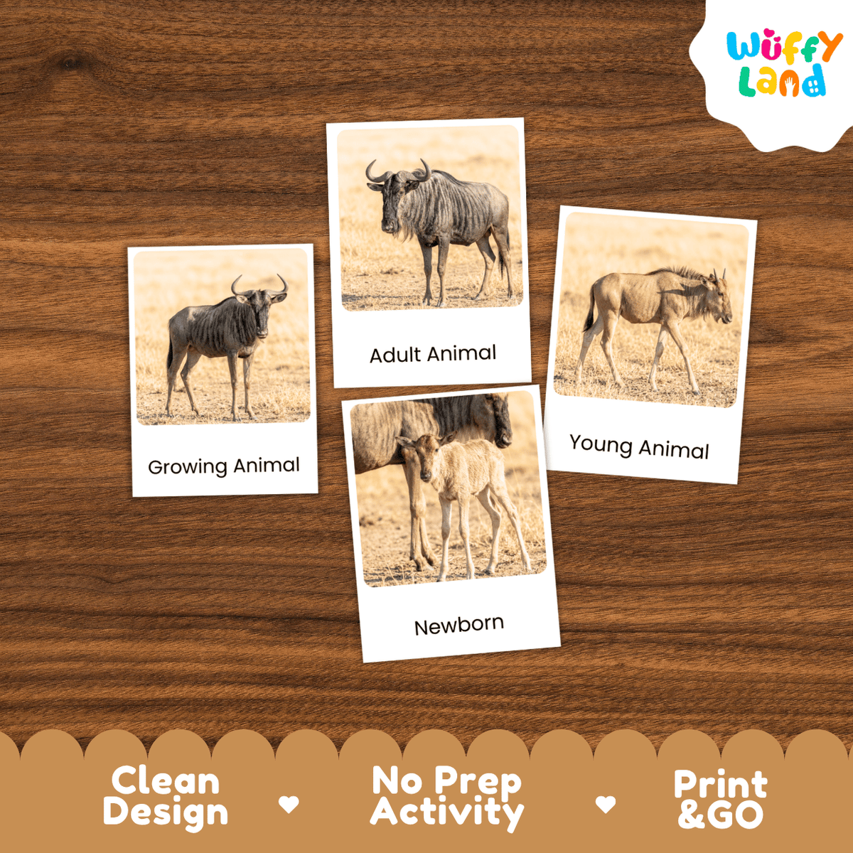 Four educational animal comparison cards showing a wildebeest in different life stages (Growing Animal, Adult Animal, Young Animal, Newborn) arranged on a brown wood-grain background. The 'Wuffy Land' brand logo is in the top right corner, and a decorative brown banner at the bottom highlights 'Clean Design', 'No Prep Activity', and 'Print & GO'.