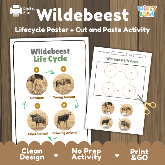Wildebeest Life Cycle Poster and Cut and Paste Activity Worksheet