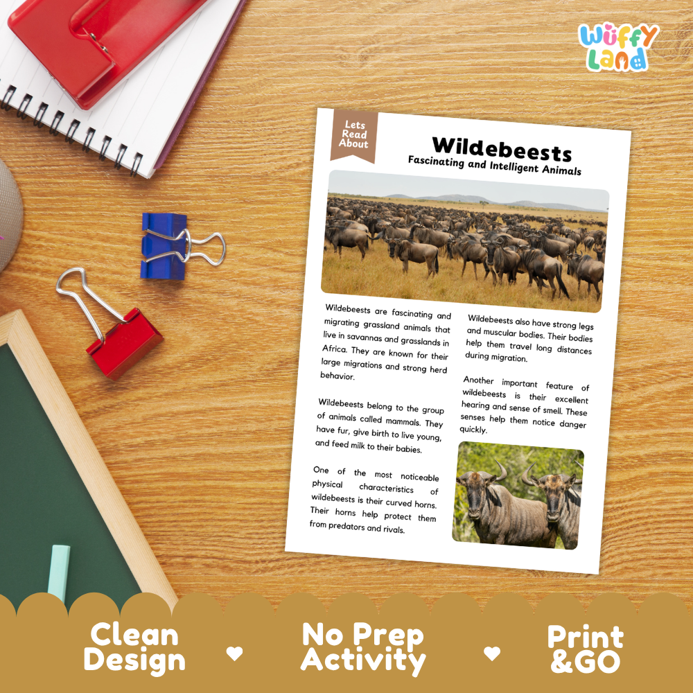 An educational reading activity sheet titled 'Wildebeests: Faming and Intelligent Animals' displayed on a wooden desk. The sheet is styled in a flat-lay with school supplies like a spiral notebook, a red notebook, and binder clips, and features promotional text banners at the bottom.