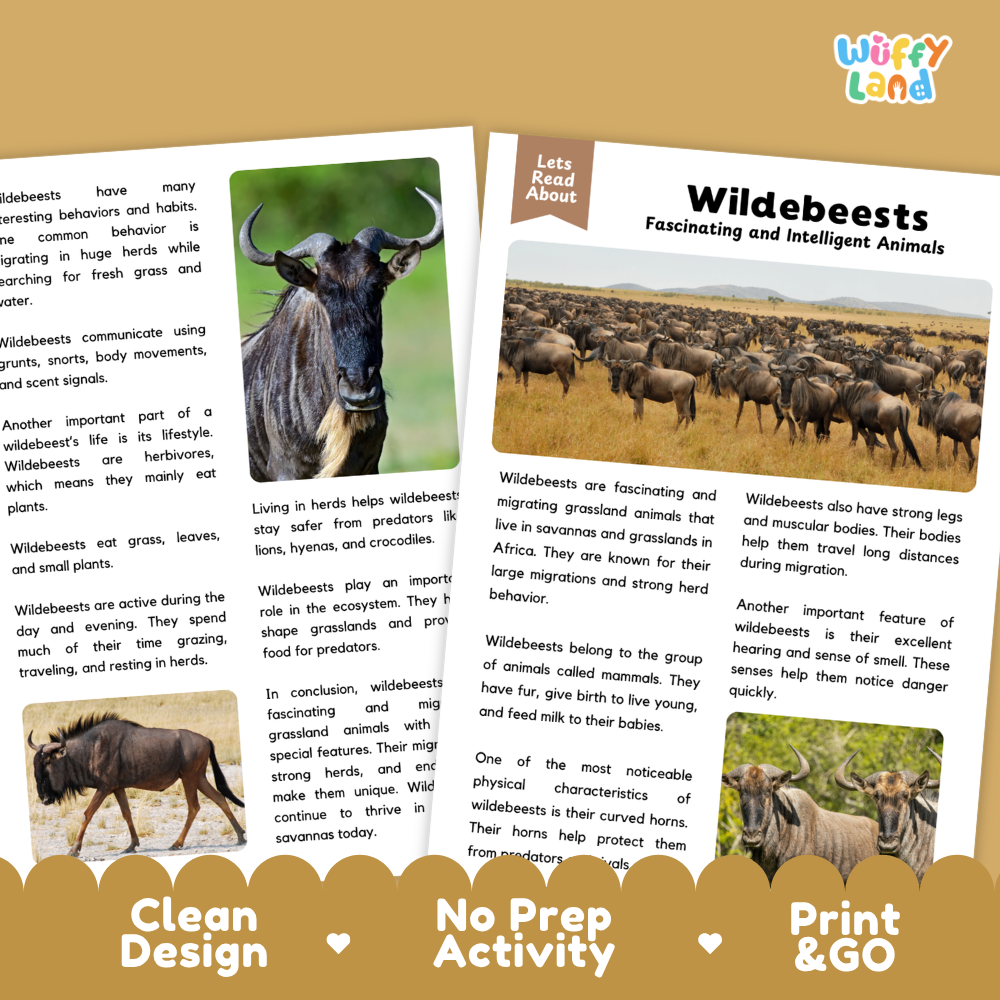 A children's educational poster set about wildebeests, featuring a colorful cover page with the title 'Wildebeests Fascinating and Intelligent Animals' and a 'Let's Read About' header, alongside two printed reading panels with animal illustrations and text. The panels are displayed on a light gray background with decorative brown tabs at the bottom labeled 'Clean Design', 'No Prep Activity', and 'Print & Go'.