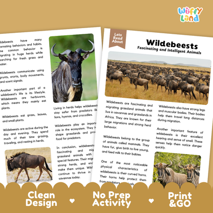 A children's educational poster set about wildebeests, featuring a colorful cover page with the title 'Wildebeests Fascinating and Intelligent Animals' and a 'Let's Read About' header, alongside two printed reading panels with animal illustrations and text. The panels are displayed on a light gray background with decorative brown tabs at the bottom labeled 'Clean Design', 'No Prep Activity', and 'Print & Go'.