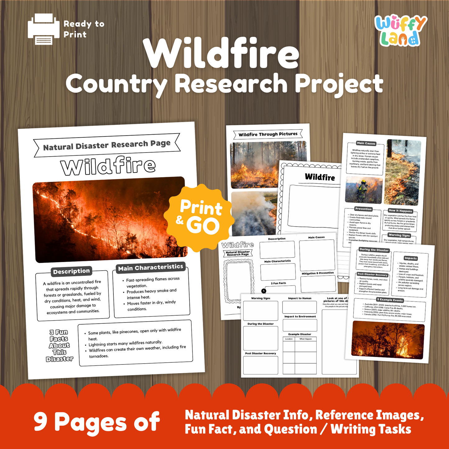 Printable wildfire research project pages featuring an illustrated cover with a forest fire photo, student worksheets, cause and effect sections, prevention tips, and example disaster pages arranged together