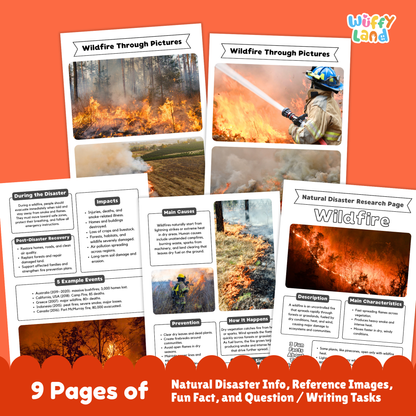 Printable wildfire research project pages featuring an illustrated cover with a forest fire photo, student worksheets, cause and effect sections, prevention tips, and example disaster pages arranged together