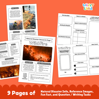 Printable wildfire research project pages featuring an illustrated cover with a forest fire photo, student worksheets, cause and effect sections, prevention tips, and example disaster pages arranged together.