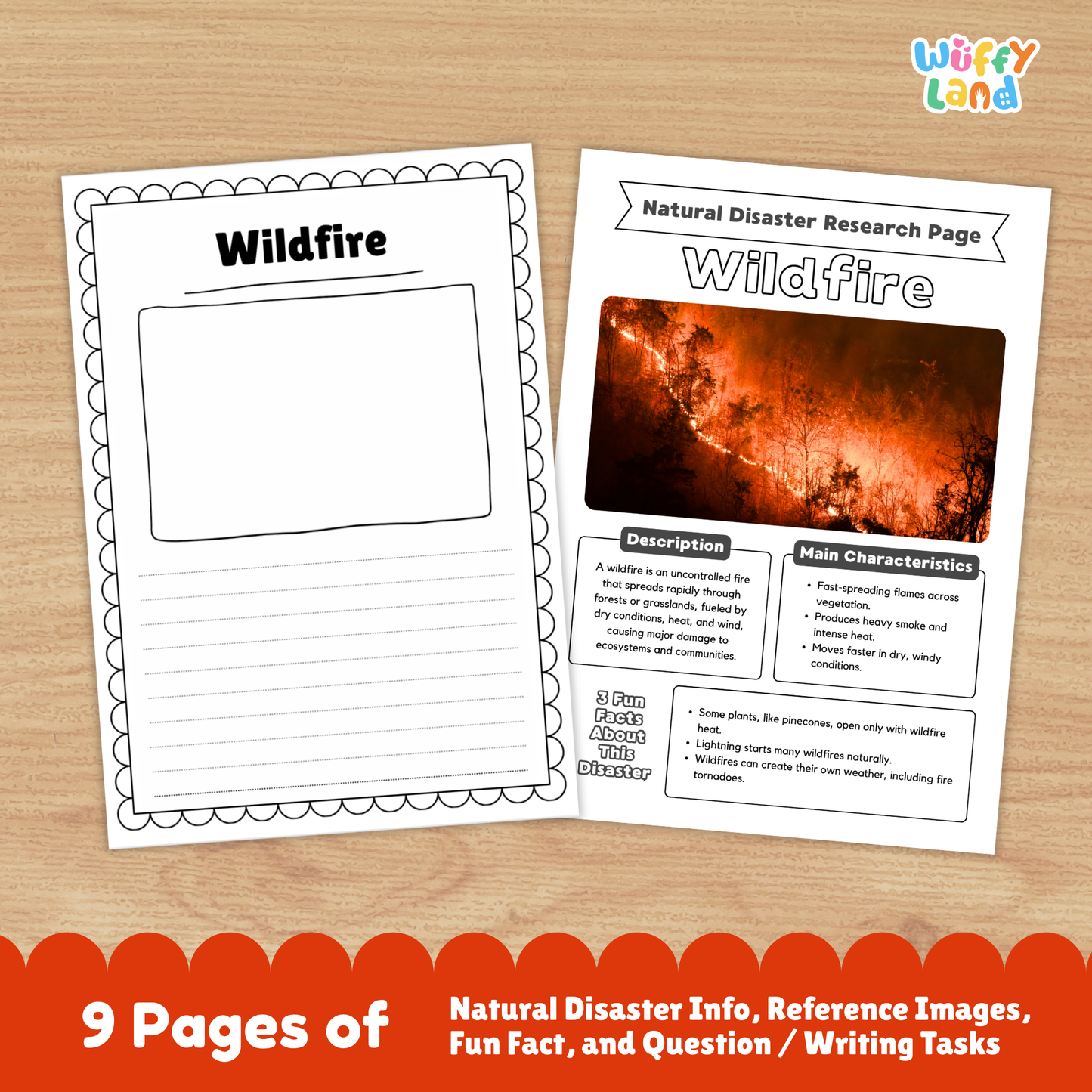 Printable wildfire research project pages featuring an illustrated cover with a forest fire photo, student worksheets, cause and effect sections, prevention tips, and example disaster pages arranged together.