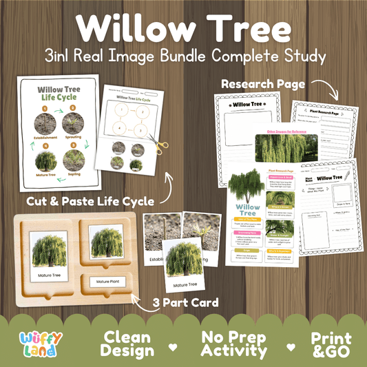 Willow tree 3in1 real image bundle complete study printable featuring life cycle cut and paste worksheets, Montessori 3-part cards, and research pages