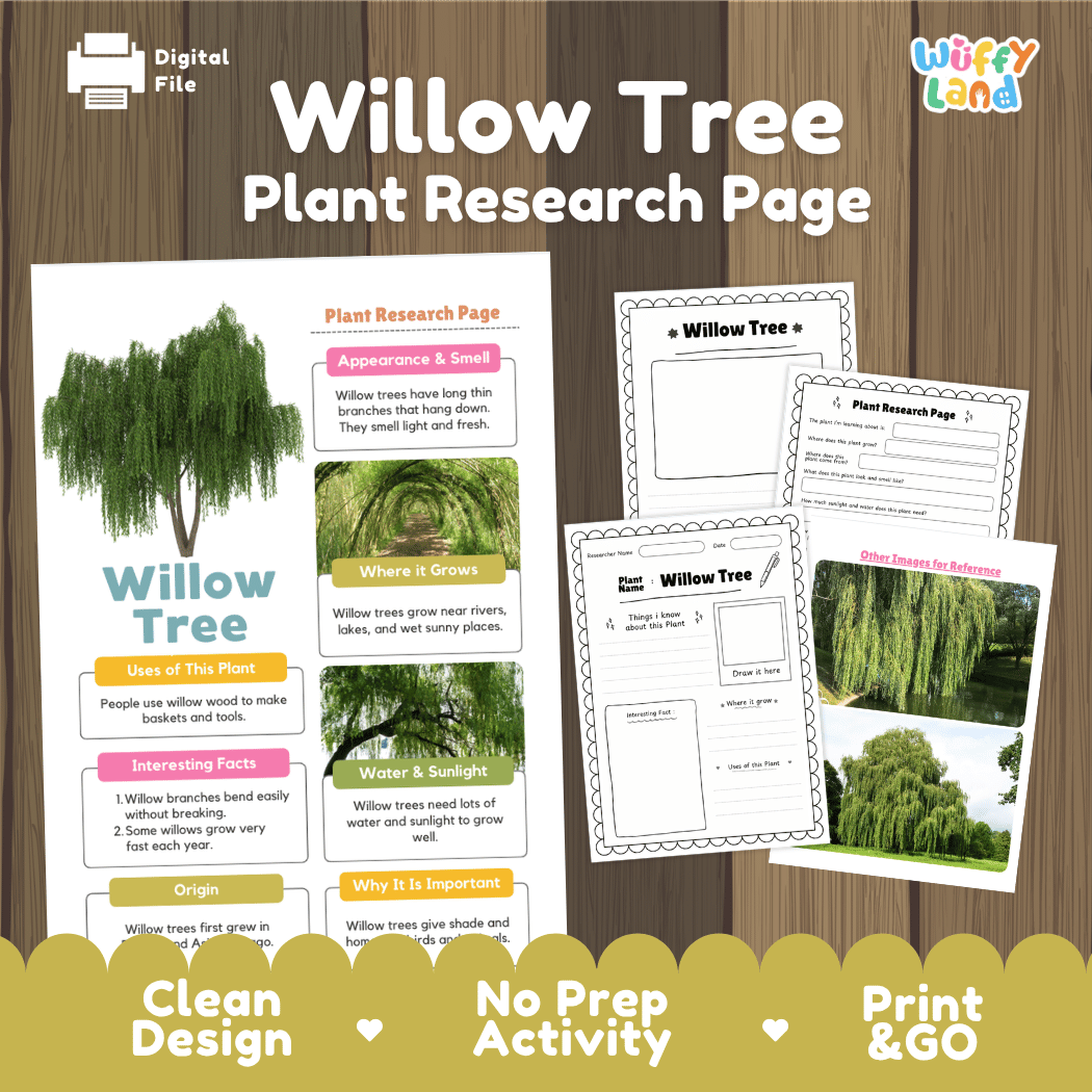 Willow Tree Plant Research Page and Worksheets Print and Go Activity