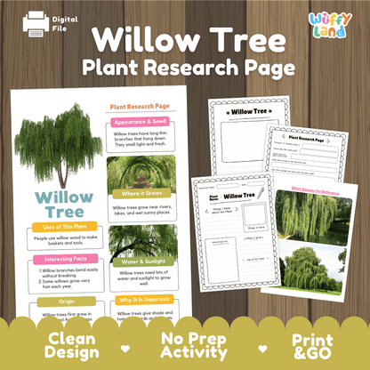 Willow Tree Plant Research Page and Worksheets Print and Go Activity
