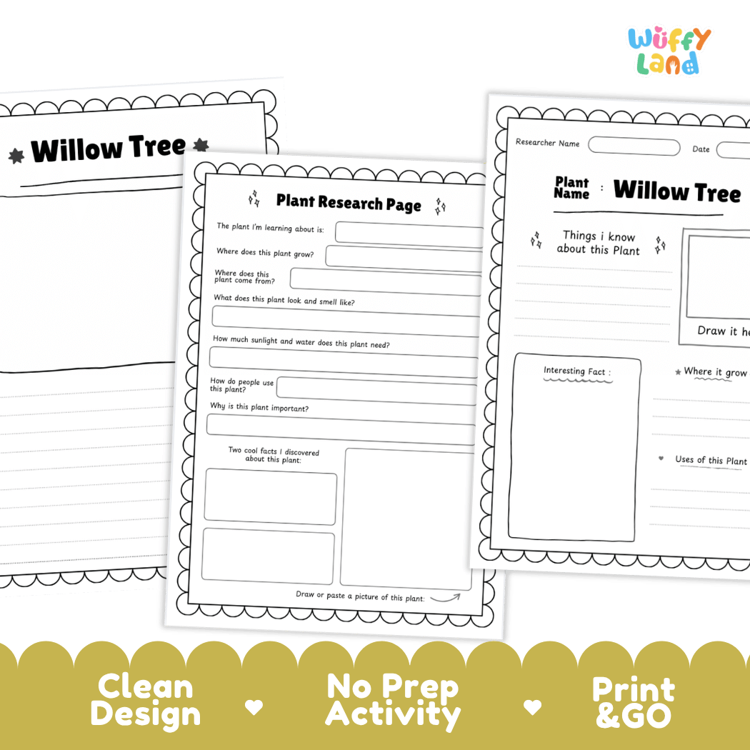 Willow Tree Plant Research Page and Worksheets Print and Go Activity
